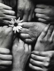 Michel Joly - Hands and Flower (Fleur aux Poings)
Click for more Images