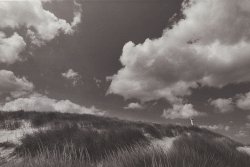 Alfred Eisenstaedt - Dunes of Squibnocket Beach, Martha's Vineyard
Click for more Images