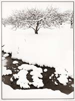 Monte Nagler - Winter Blanket, Romeo, Michigan
Click for more Images