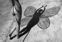 Stanko Abadic - Channeling a Butterfly (Female Nude)
Click for more Images