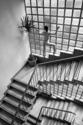 Stanko Abadic - Female Nude on Stairs
Click for more Images