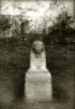 Christophe (Krzysztof) Pruszkowski - Dromos de Luqsor, 36 Sphinx, Egypt (Fotosinteza)
Click for Details Christophe (Krzysztof) Pruszkowski - Dromos de Luqsor, 36 Sphinx, Egypt (Fotosinteza)
Click for more Images