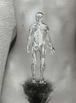 Marcel Marien - Le tremplin
Click for more Images