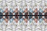 Charlie Schreiner - Mosaic #250
Click for more Images